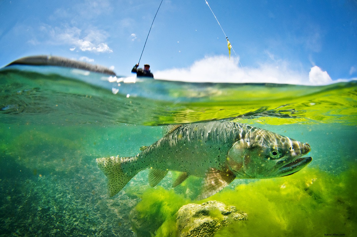 Oregon s High Desert: The Flow of Life Through Water and Volcanoes