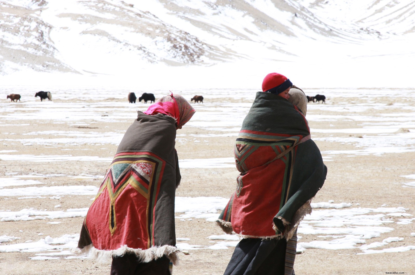 Nomadic Souls Project: Inside Life on a Handcrafted Wooden Boat