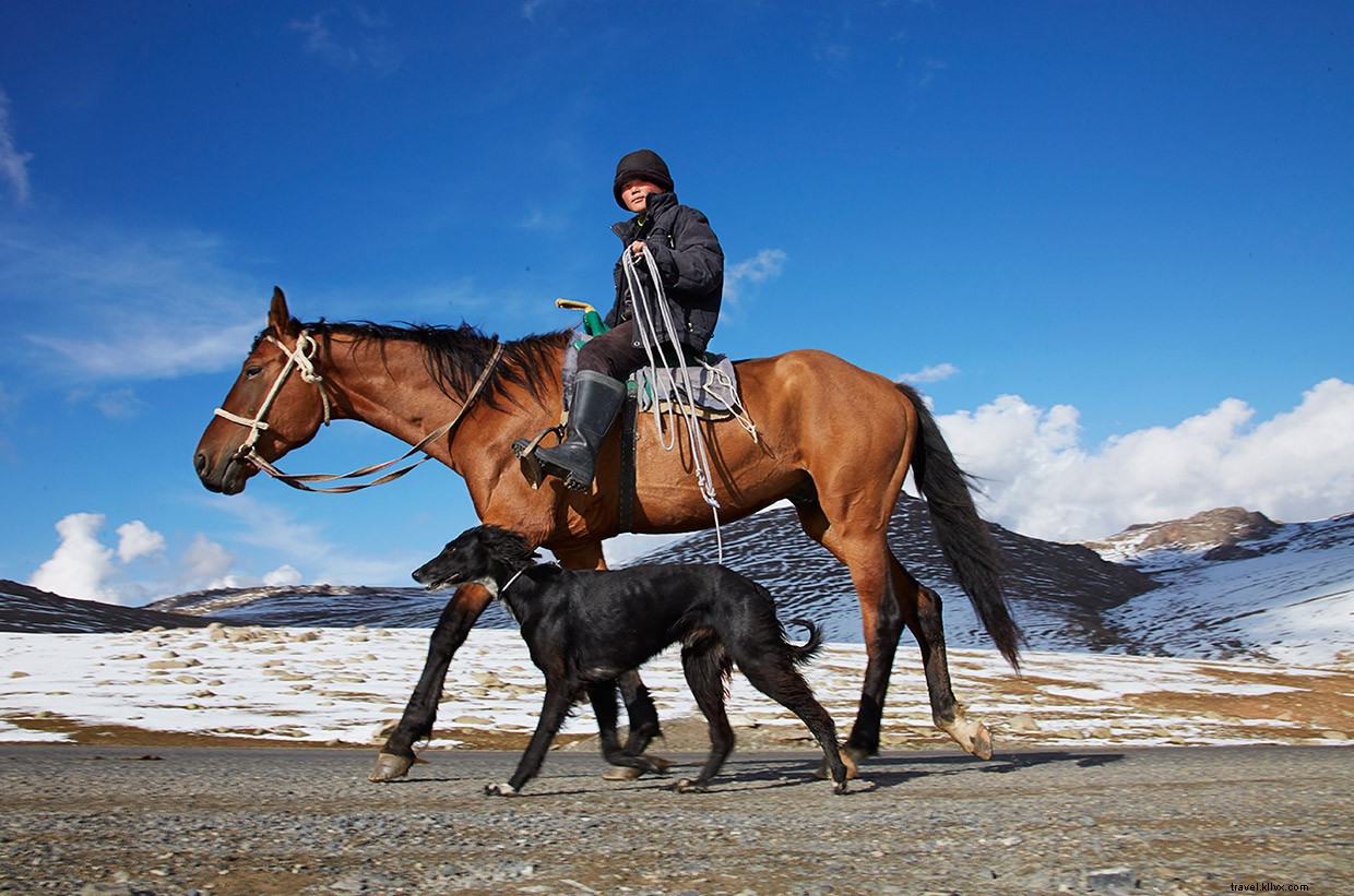 Unveiling the Essence of Manas