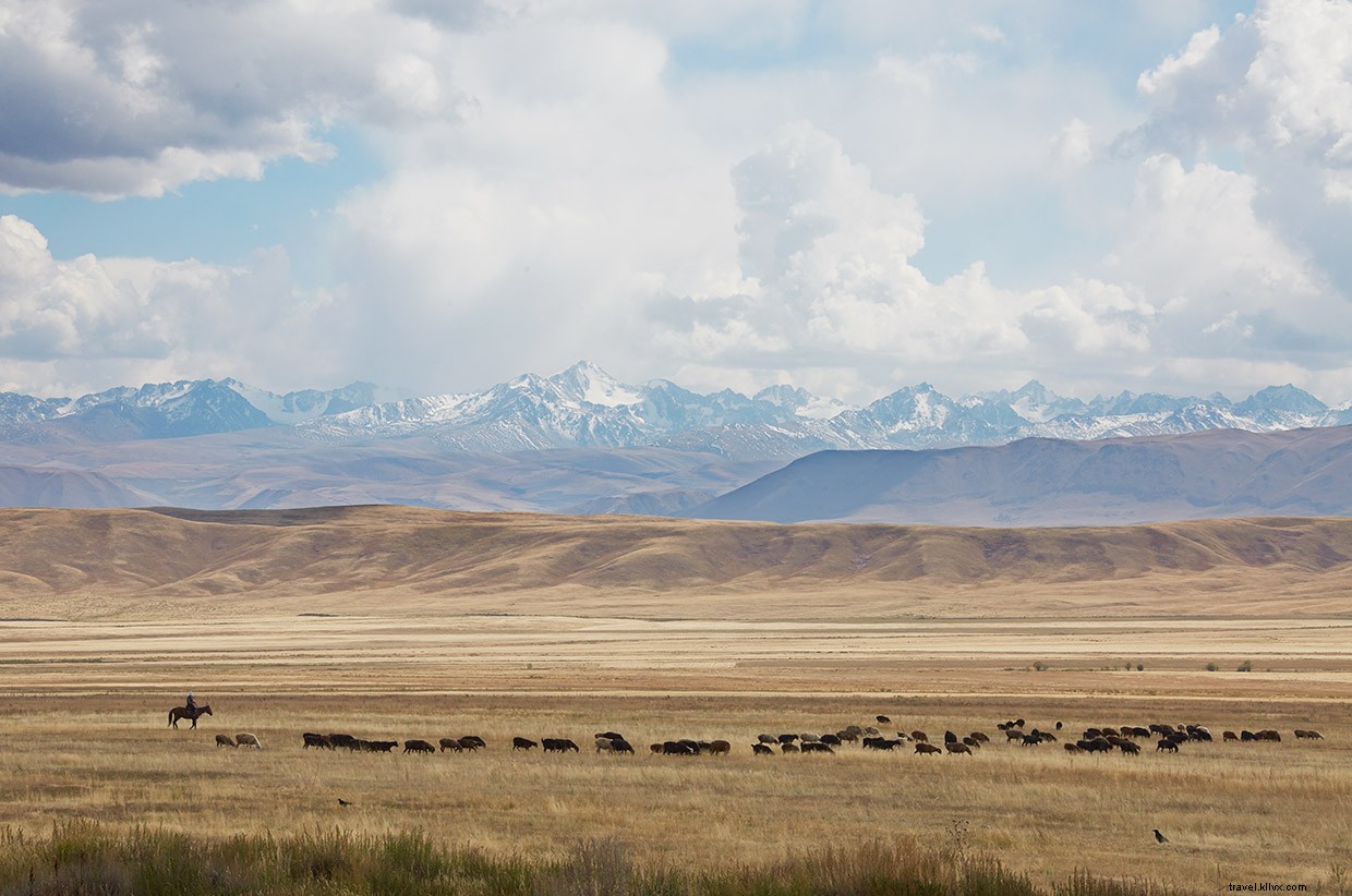 Unveiling the Essence of Manas