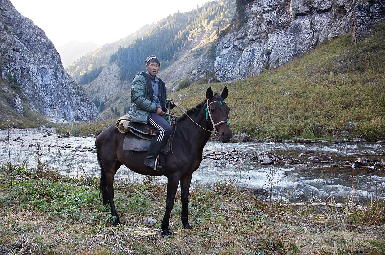 Unveiling the Essence of Manas