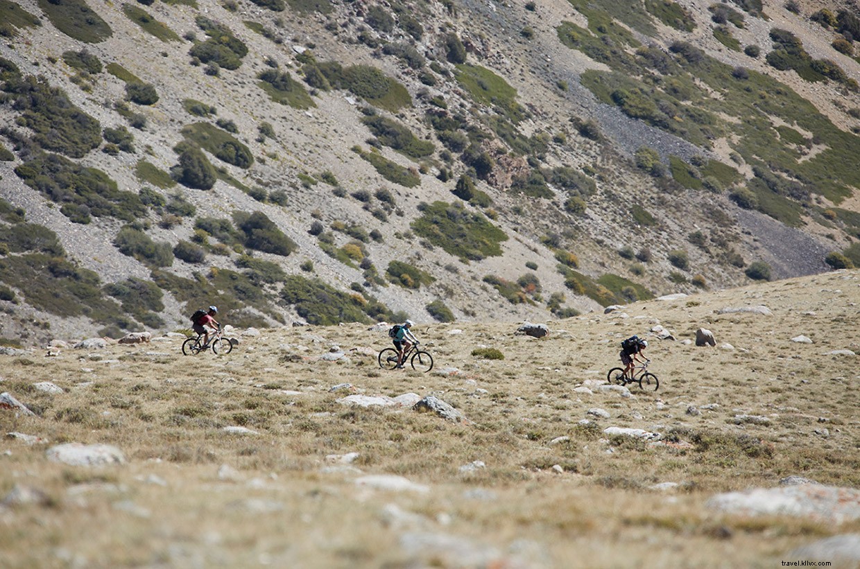 Unveiling the Essence of Manas