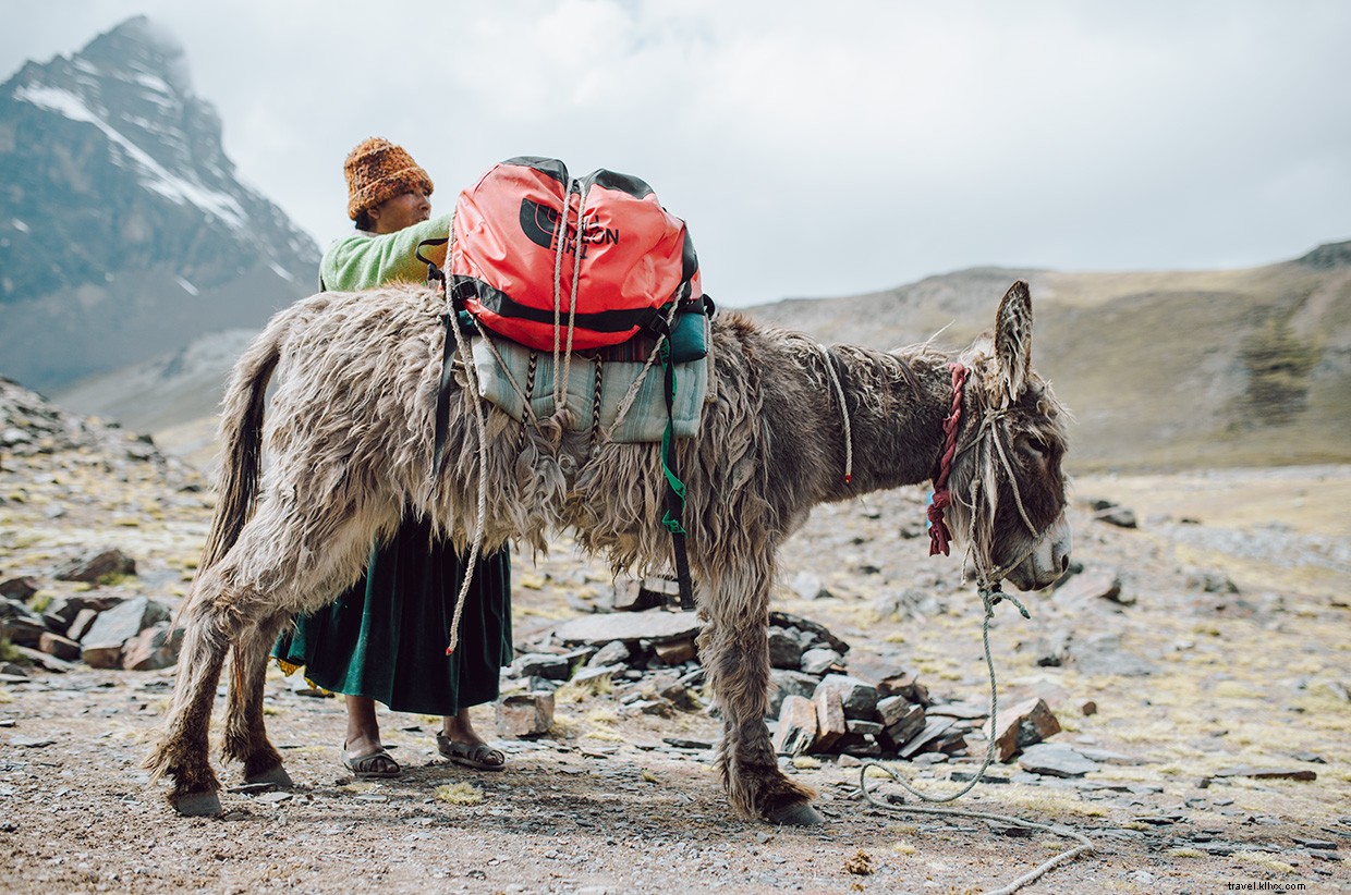 Lost Gringos: A Journey of Discovery Beyond the Ordinary