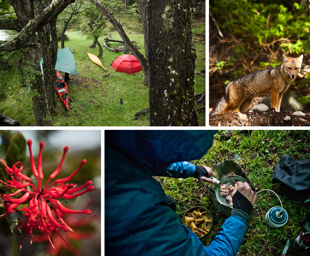 Ultima Thule: Exploring the Legendary Northern Frontier