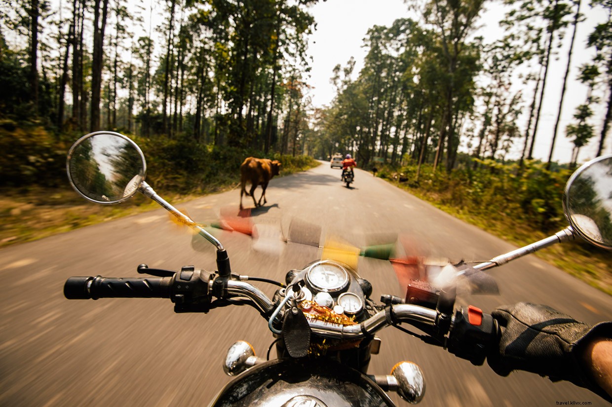 From Pro Surfing to Waves for Water: A Leap of Faith