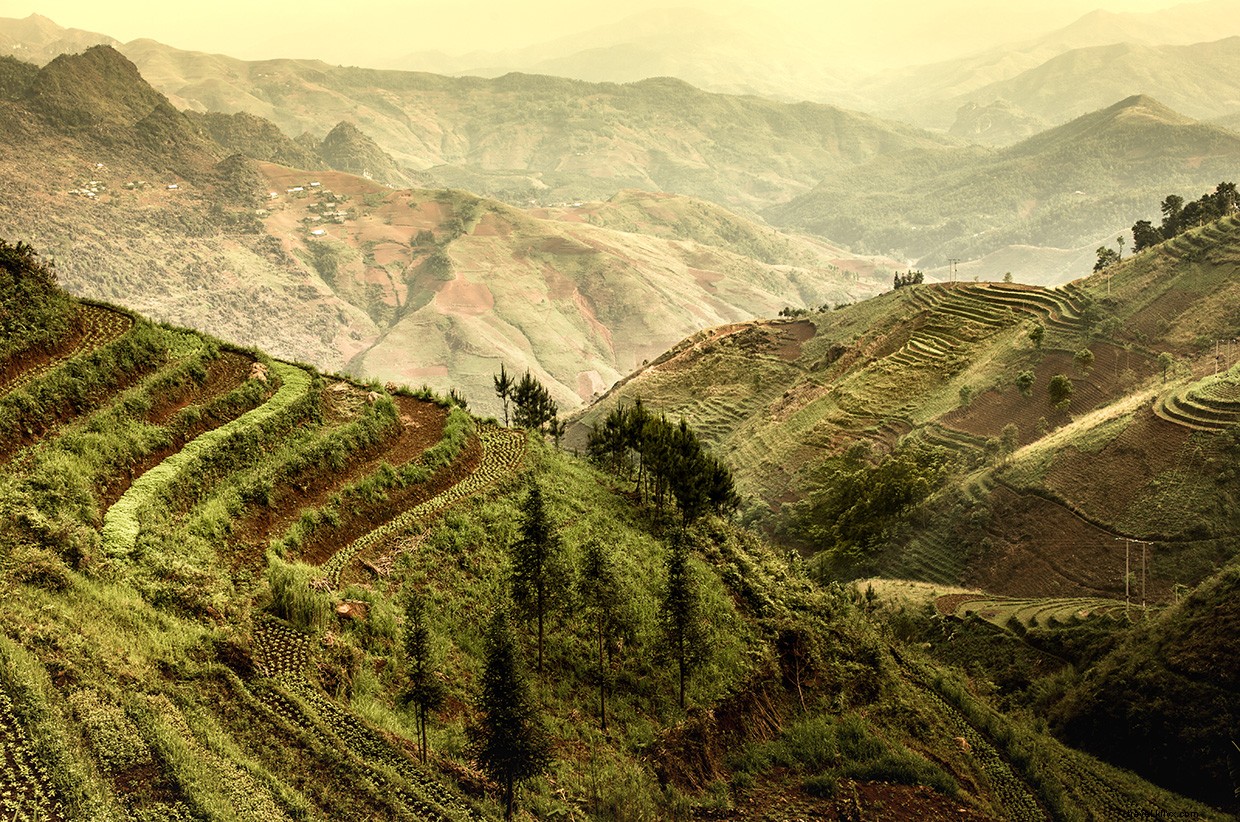 Lost in Vietnam: A Gripping Tale of Survival in a Rural Hospital