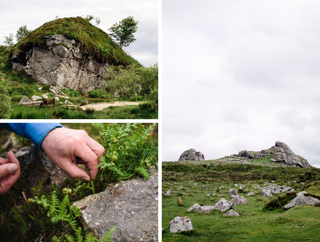 Exploring Dartmoor: Foraging & Wild Cooking in Devon