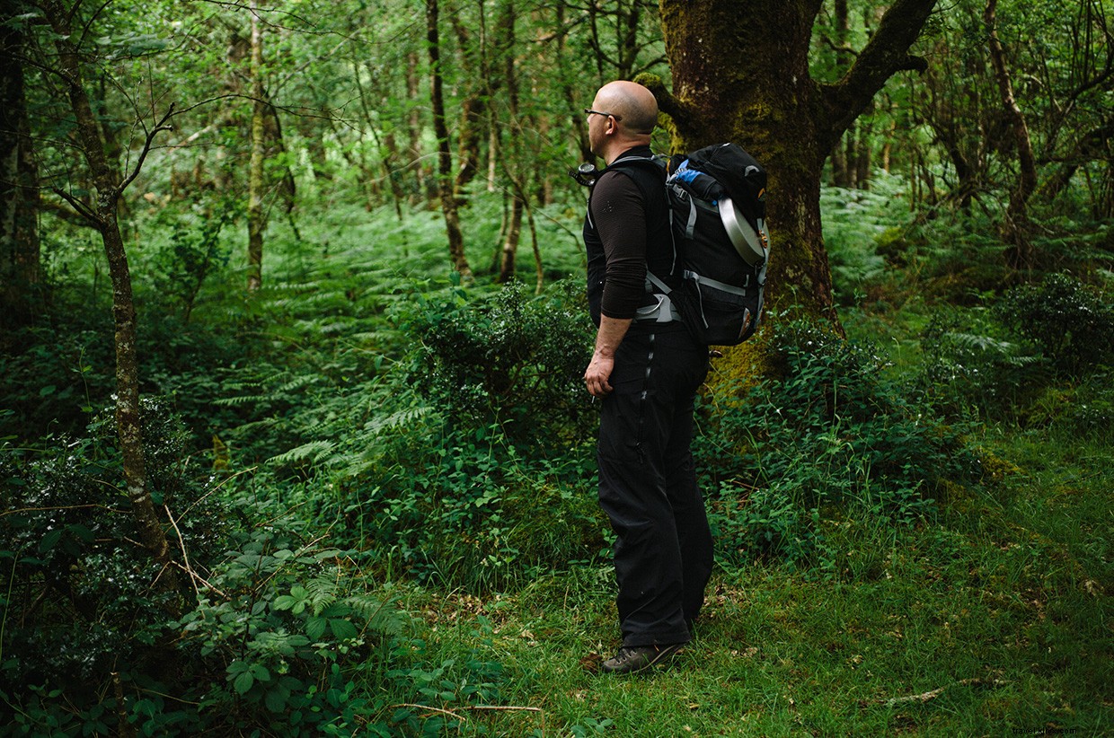 Exploring Dartmoor: Foraging & Wild Cooking in Devon