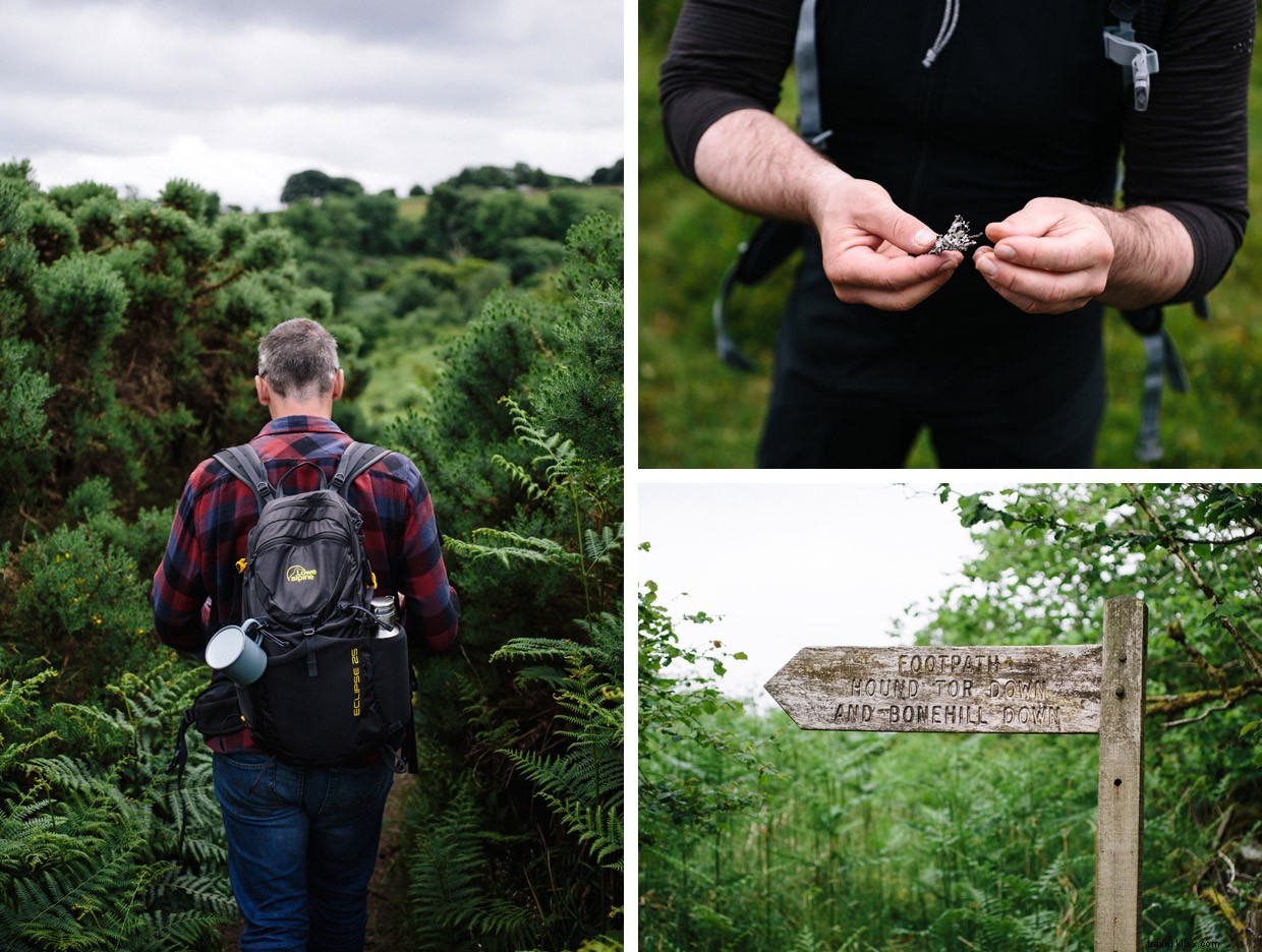 Exploring Dartmoor: Foraging & Wild Cooking in Devon