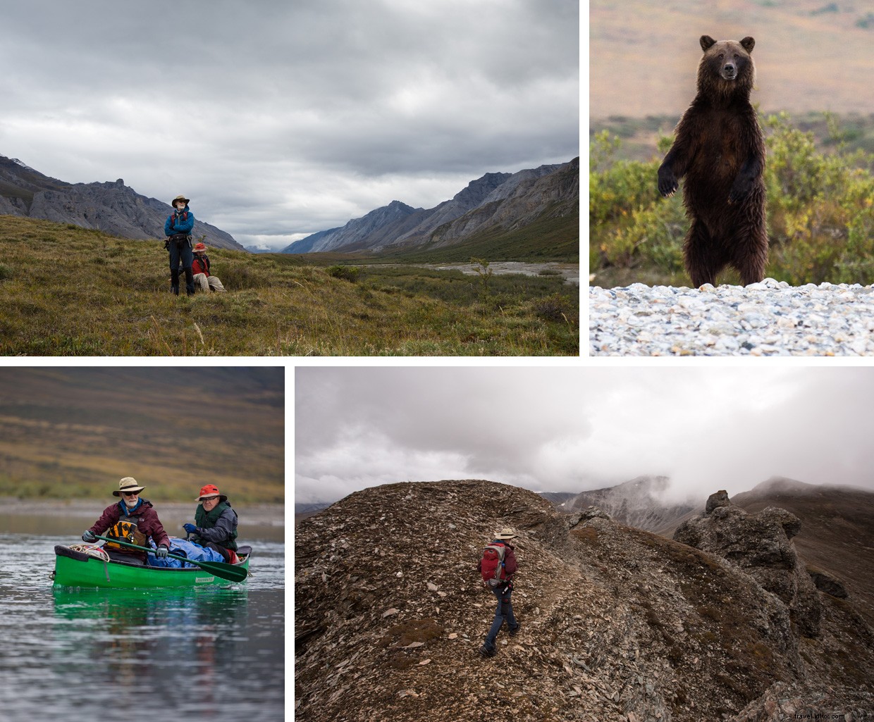 Return to the Arctic: Trekking the Brooks Range