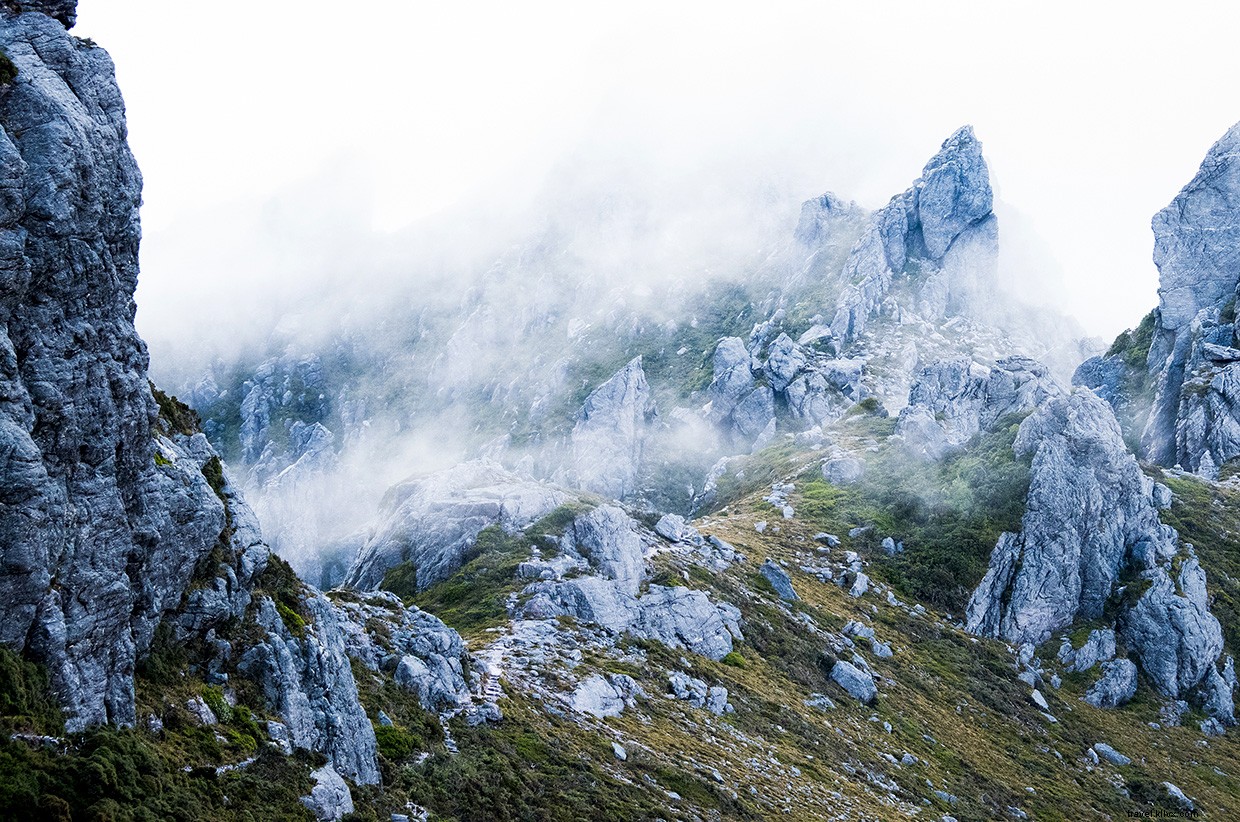 Surviving the 3AM Storm: A Tent Adventure That Tested Our Limits