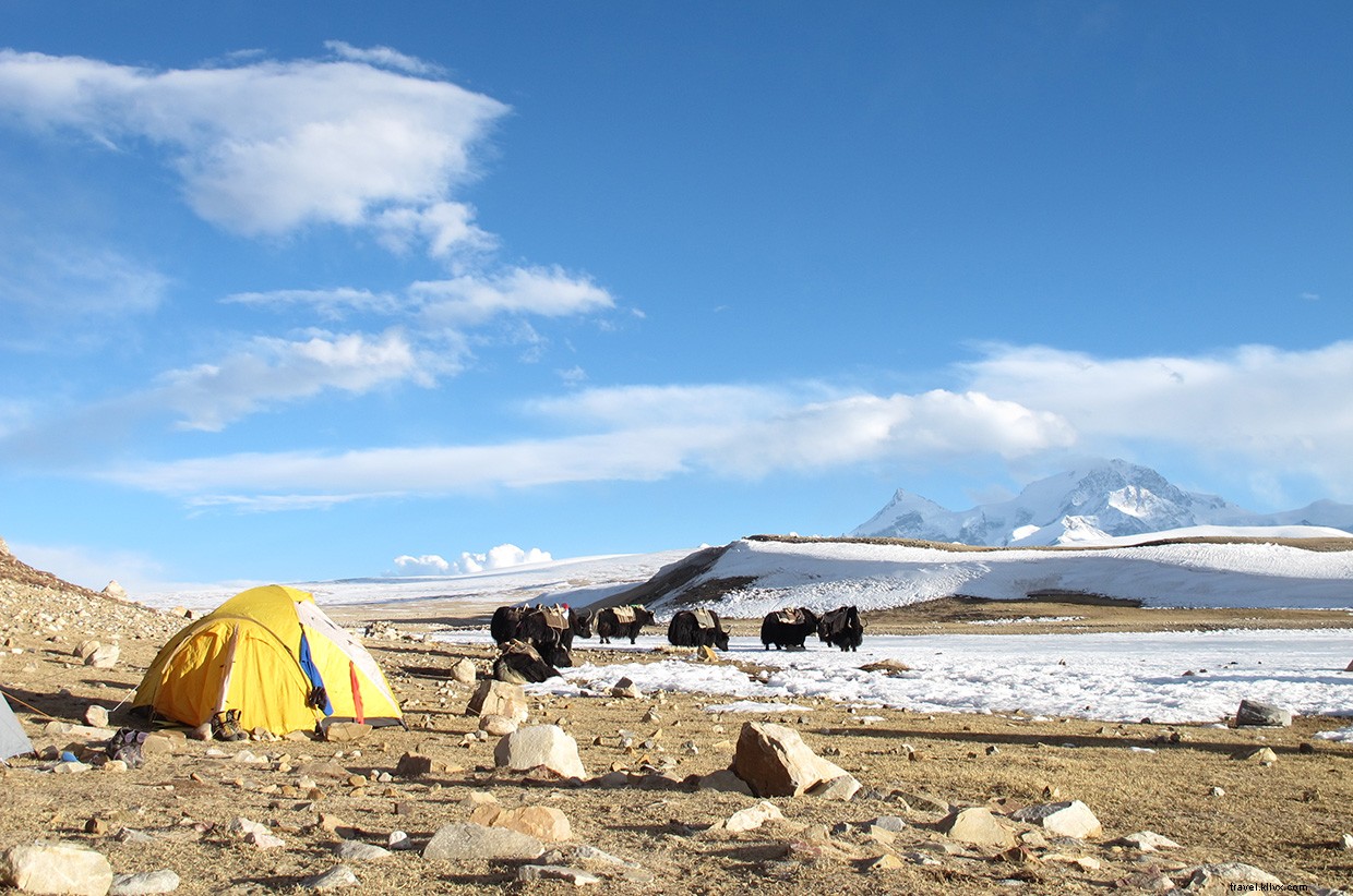 Beyond the Peak: Heather Geluk s Journey to Overcome Prejudice in Himalayan Climbing