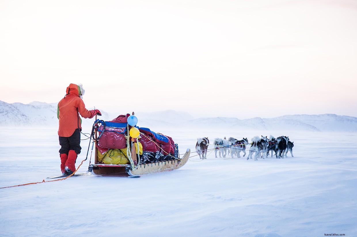 Surviving a 90 km/h Blizzard: A Wilderness Expedition Update