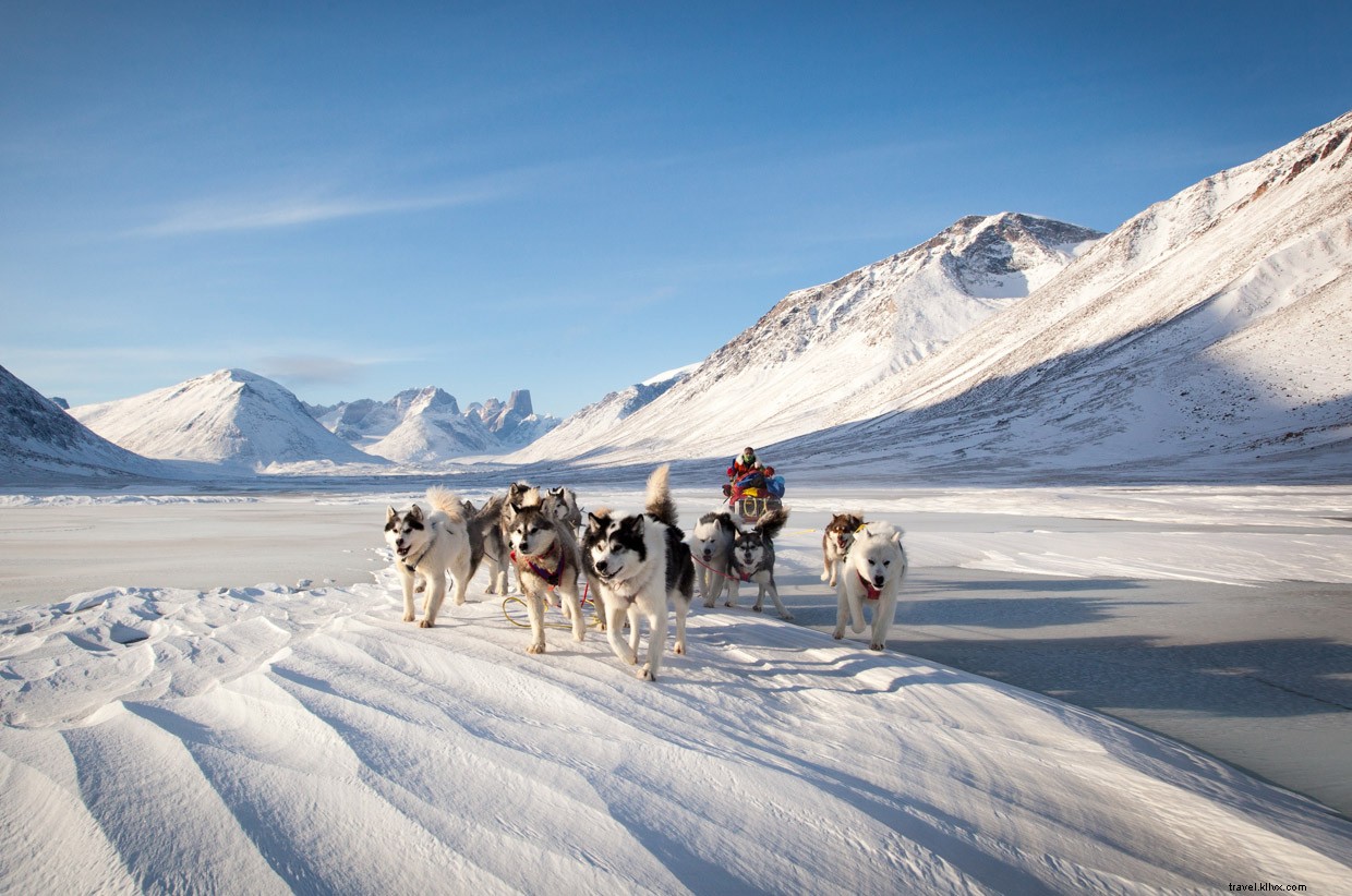 Surviving a 90 km/h Blizzard: A Wilderness Expedition Update