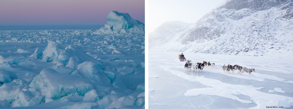 Surviving a 90 km/h Blizzard: A Wilderness Expedition Update