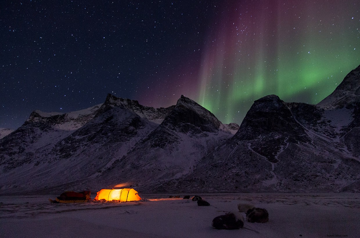 Surviving a 90 km/h Blizzard: A Wilderness Expedition Update