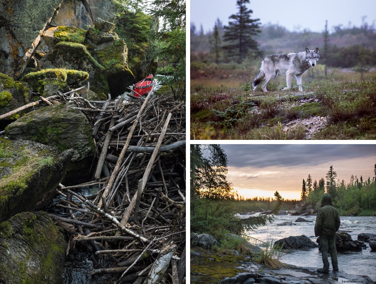Paddling 990 Miles to Churchill: A 64-Day Arctic Adventure