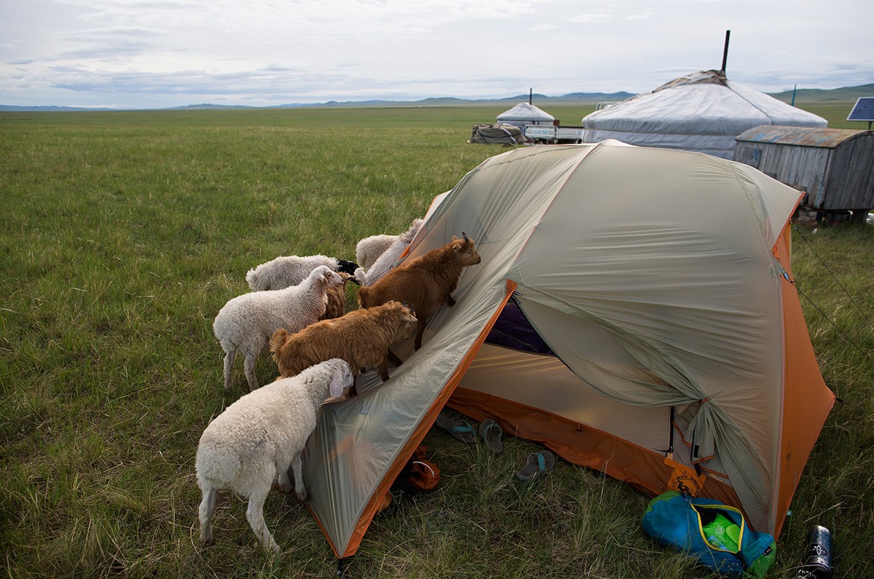 The Dragon s Final Dance: A Journey Through the Amur River