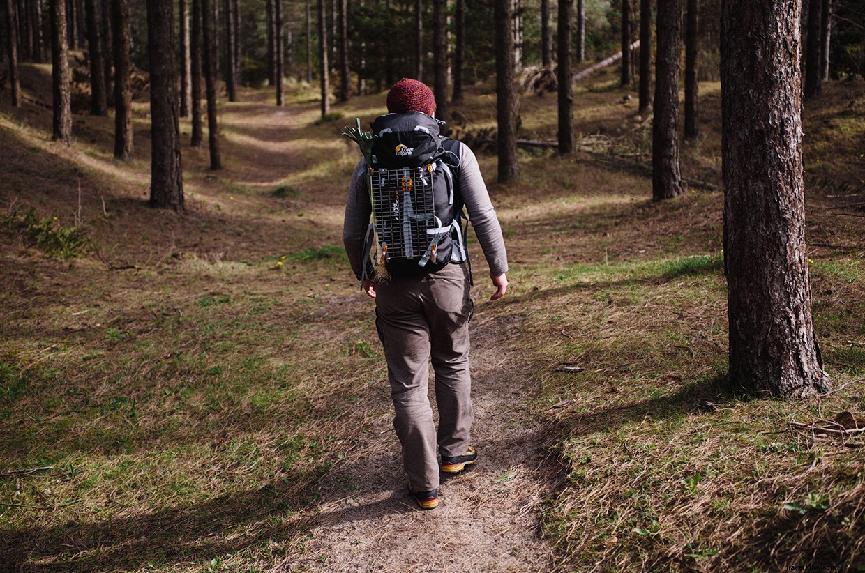 Exploring Coastal Forests: Foraging & Wild Cooking in the UK