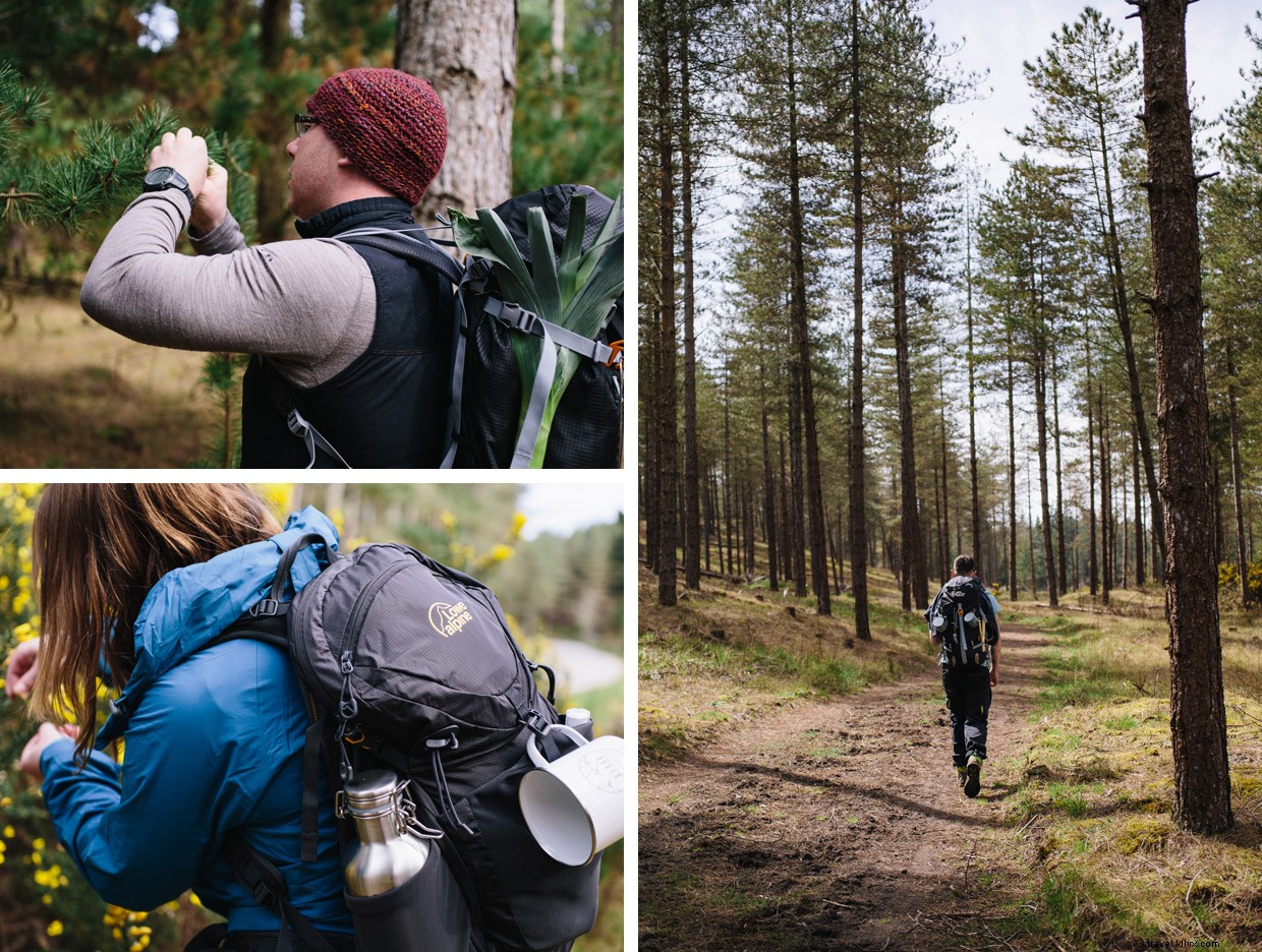 Exploring Coastal Forests: Foraging & Wild Cooking in the UK