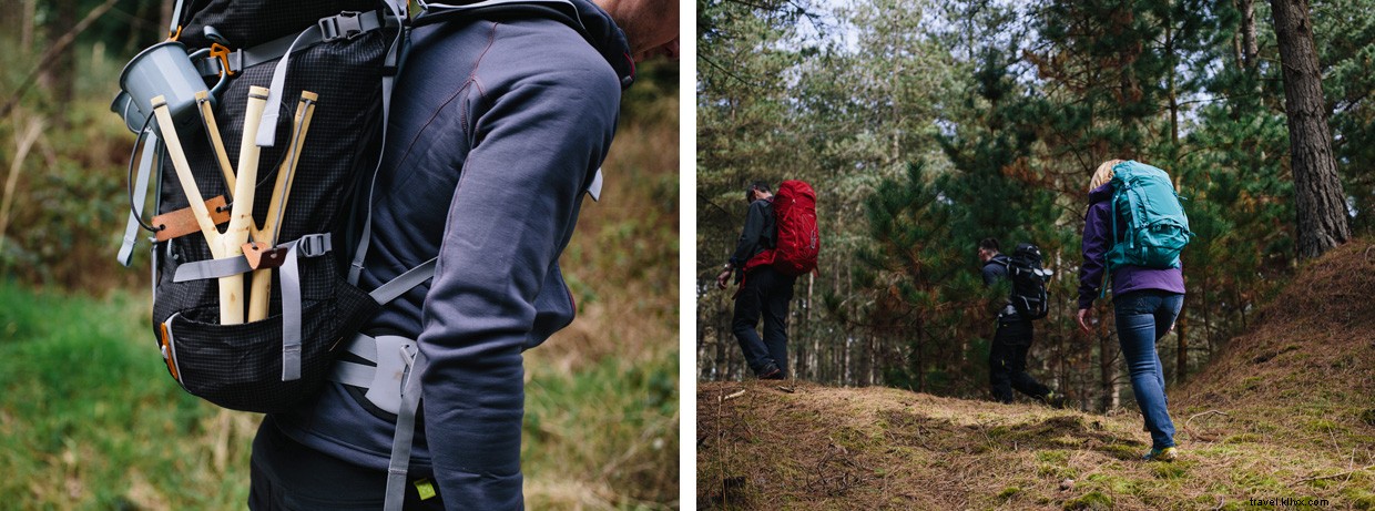Exploring Coastal Forests: Foraging & Wild Cooking in the UK
