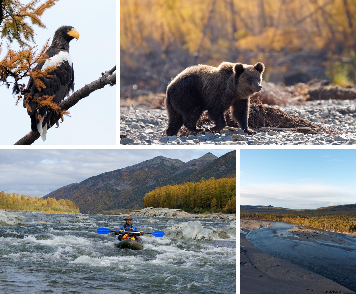Journey from Yakutsk to Okhotsk: The Harsh Siberian Expedition