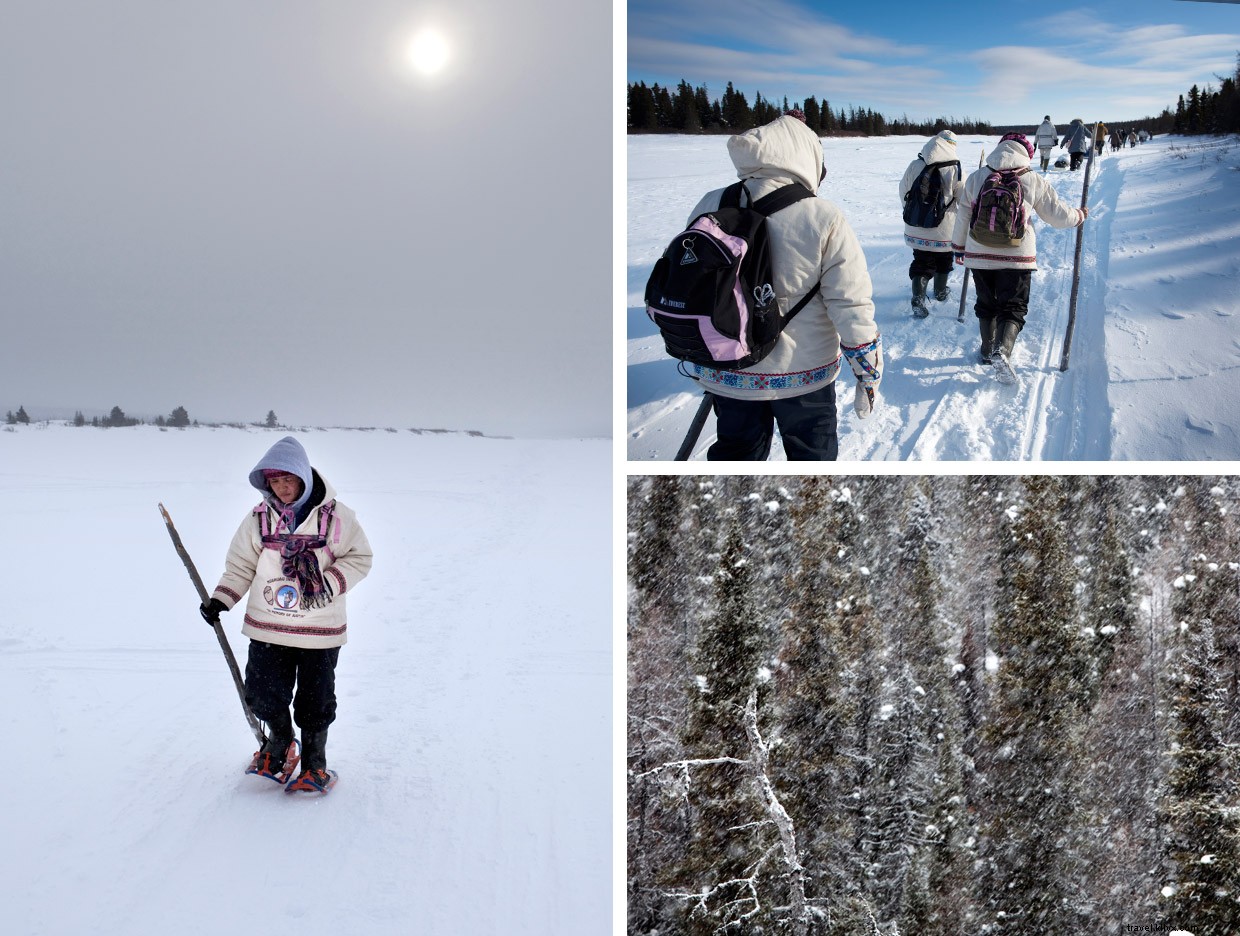 Arctic Trek: Walking with Quebec’s Innu