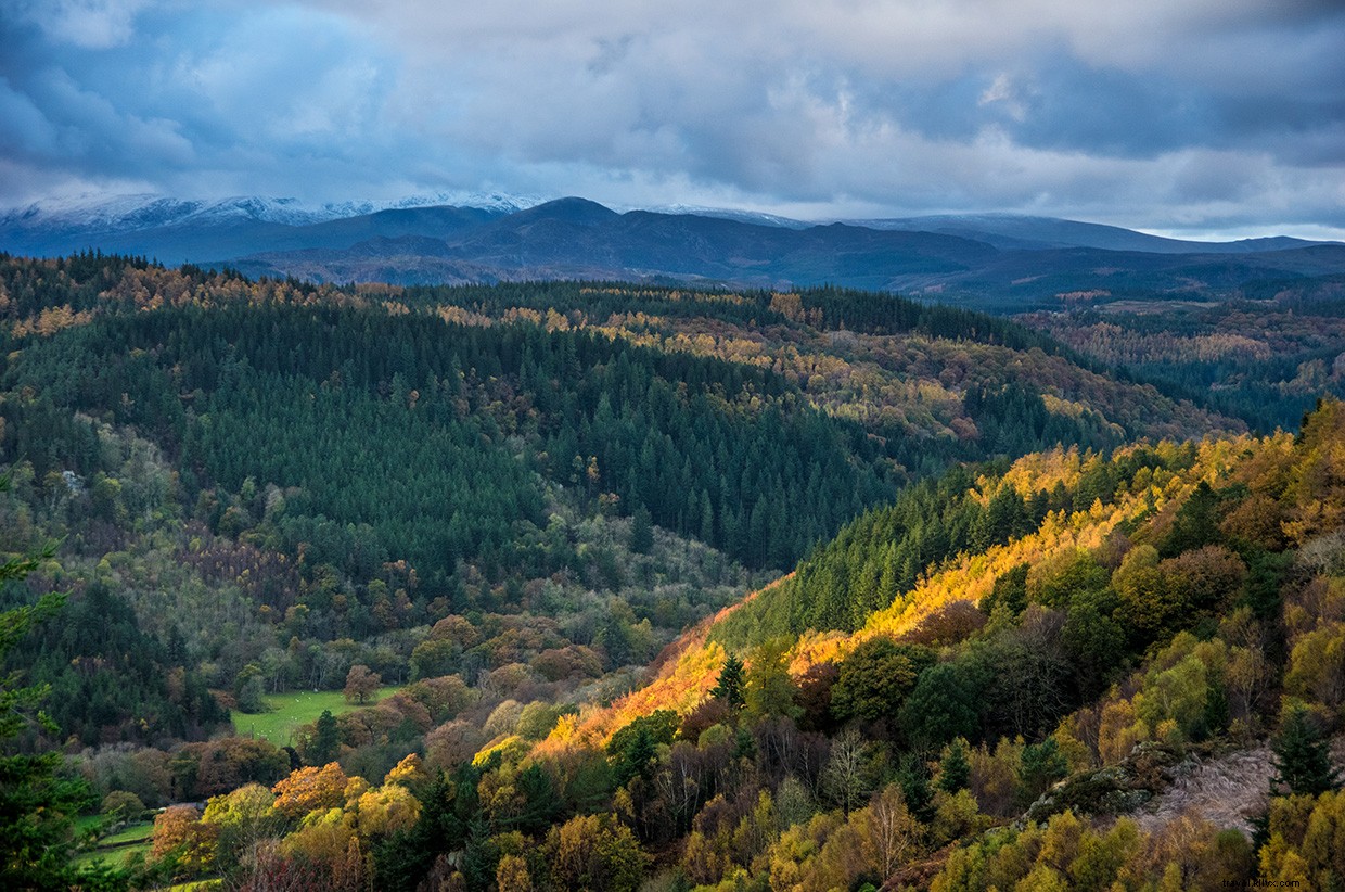 Conwy River Kayaking Adventure: Discovering Wales  Untamed Waterways