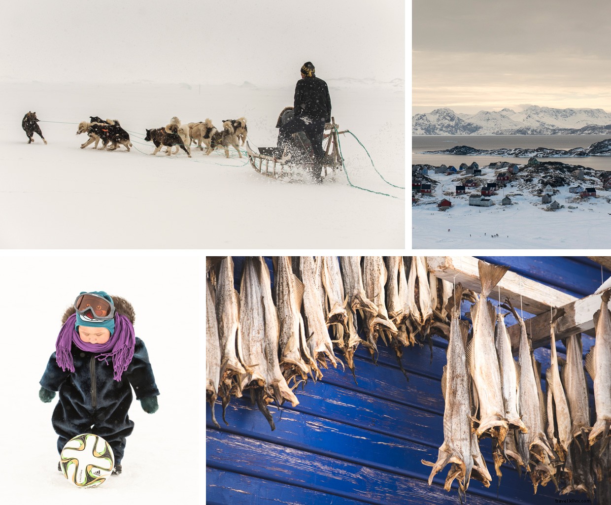 The Power of Wilderness: Ande’s Inuit Totem Craft and Greenland Survival