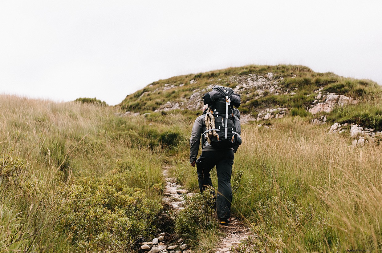 Wild Cooking Scotland: A Foraging & Cooking Journey