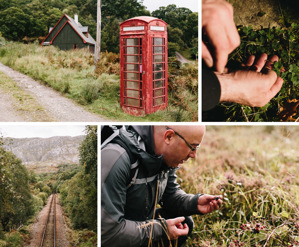 Wild Cooking Scotland: A Foraging & Cooking Journey