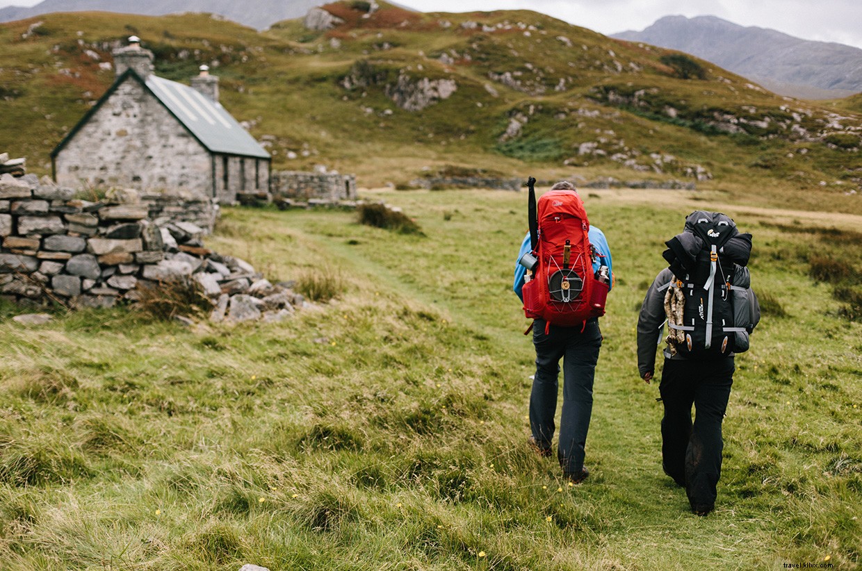 Wild Cooking Scotland: A Foraging & Cooking Journey