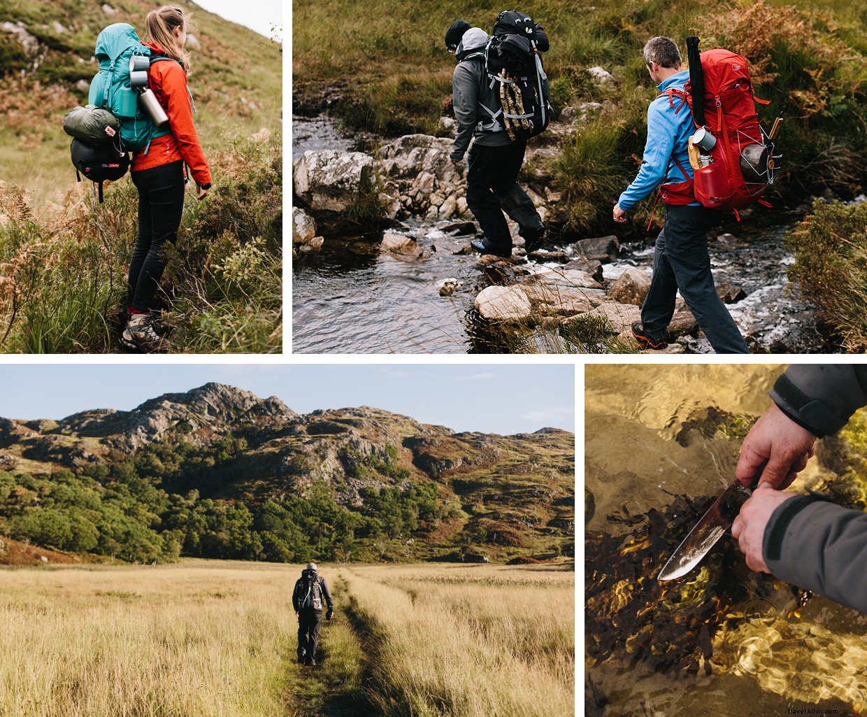 Wild Cooking Scotland: A Foraging & Cooking Journey