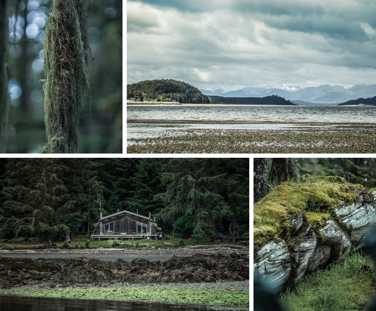 Discover Haida Gwaii: Canada’s Remote Island Paradise