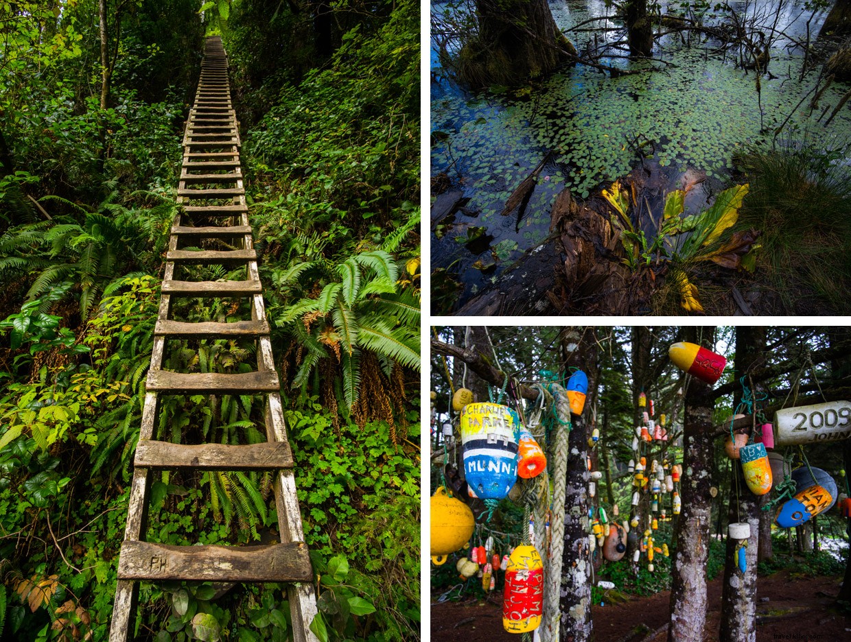 Embracing the Wilderness: A Journey Through Port Alberni