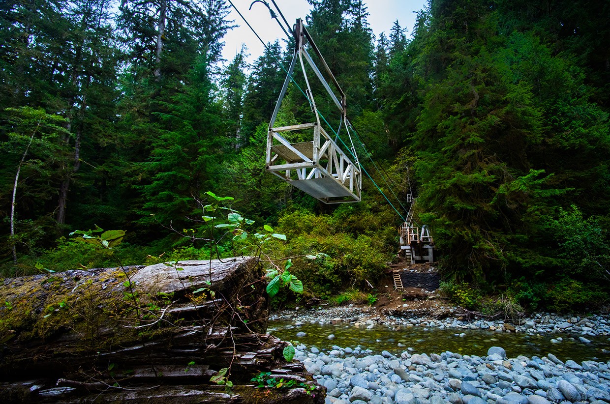 Embracing the Wilderness: A Journey Through Port Alberni