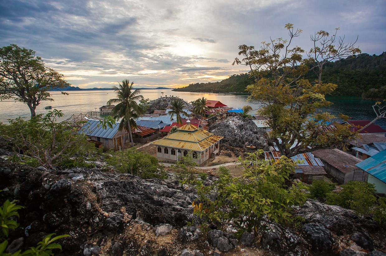 Bajau Waters to Blood Tests: Navigating Culture, Science, and the Sea