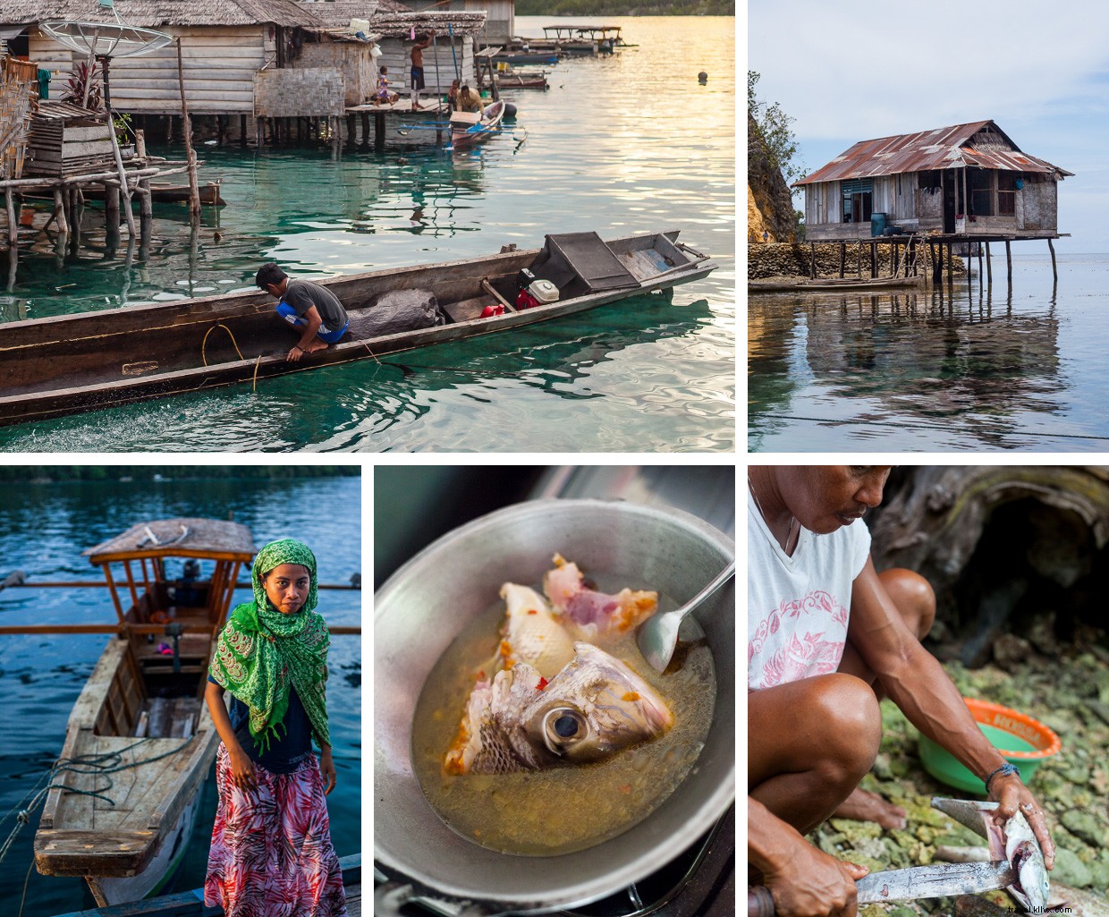Bajau Waters to Blood Tests: Navigating Culture, Science, and the Sea