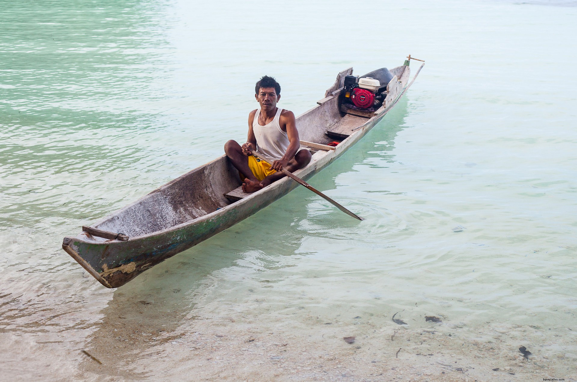 Bajau Waters to Blood Tests: Navigating Culture, Science, and the Sea