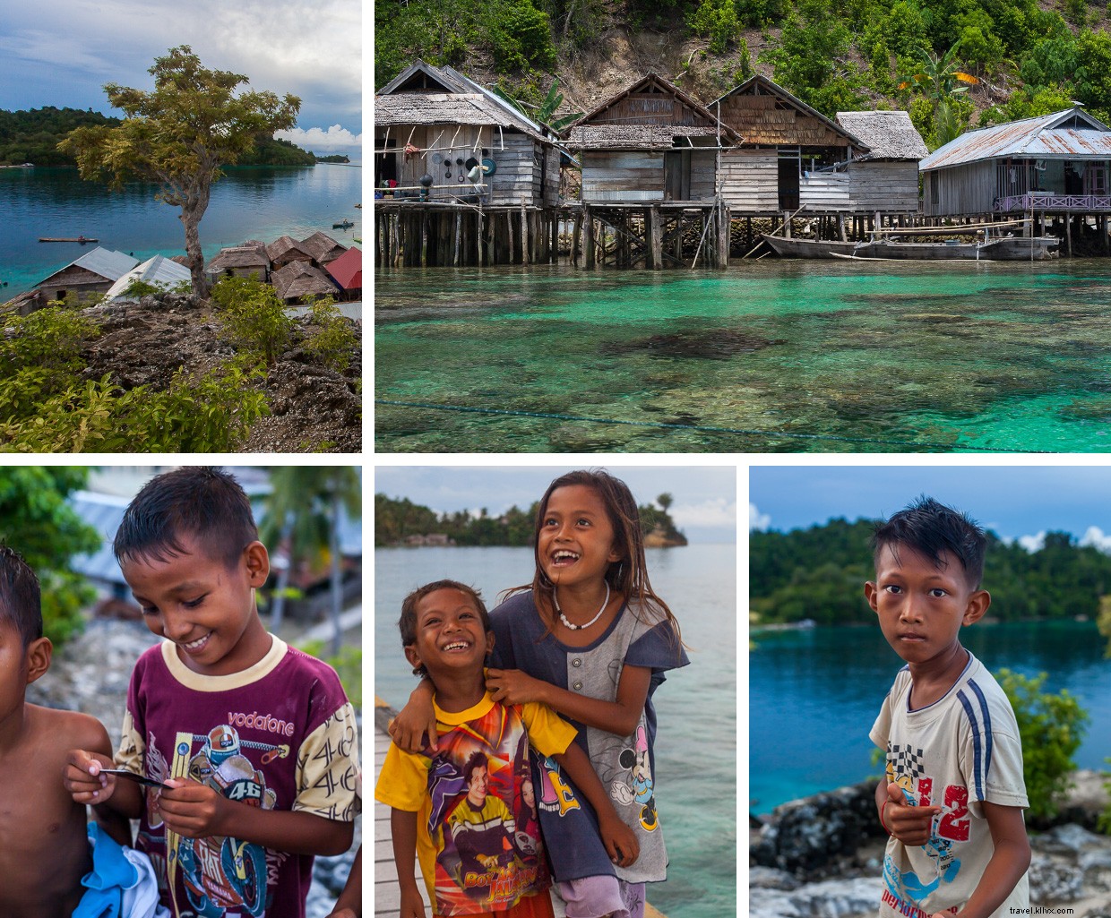 Bajau Waters to Blood Tests: Navigating Culture, Science, and the Sea