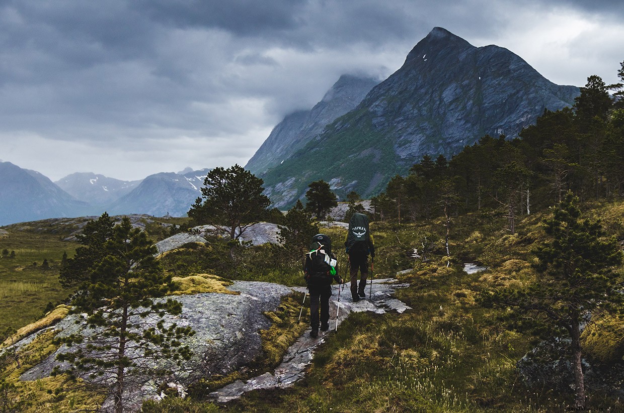 Exploring the Northern Wilderness: A Villmark Expedition