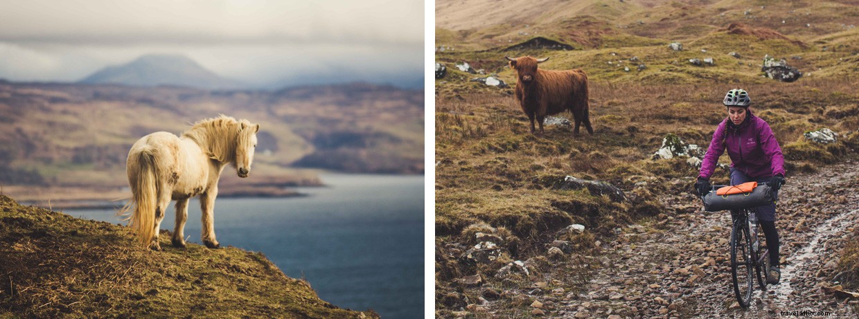 The Wild Isles: A Journey Through Stormy Scottish Highlands