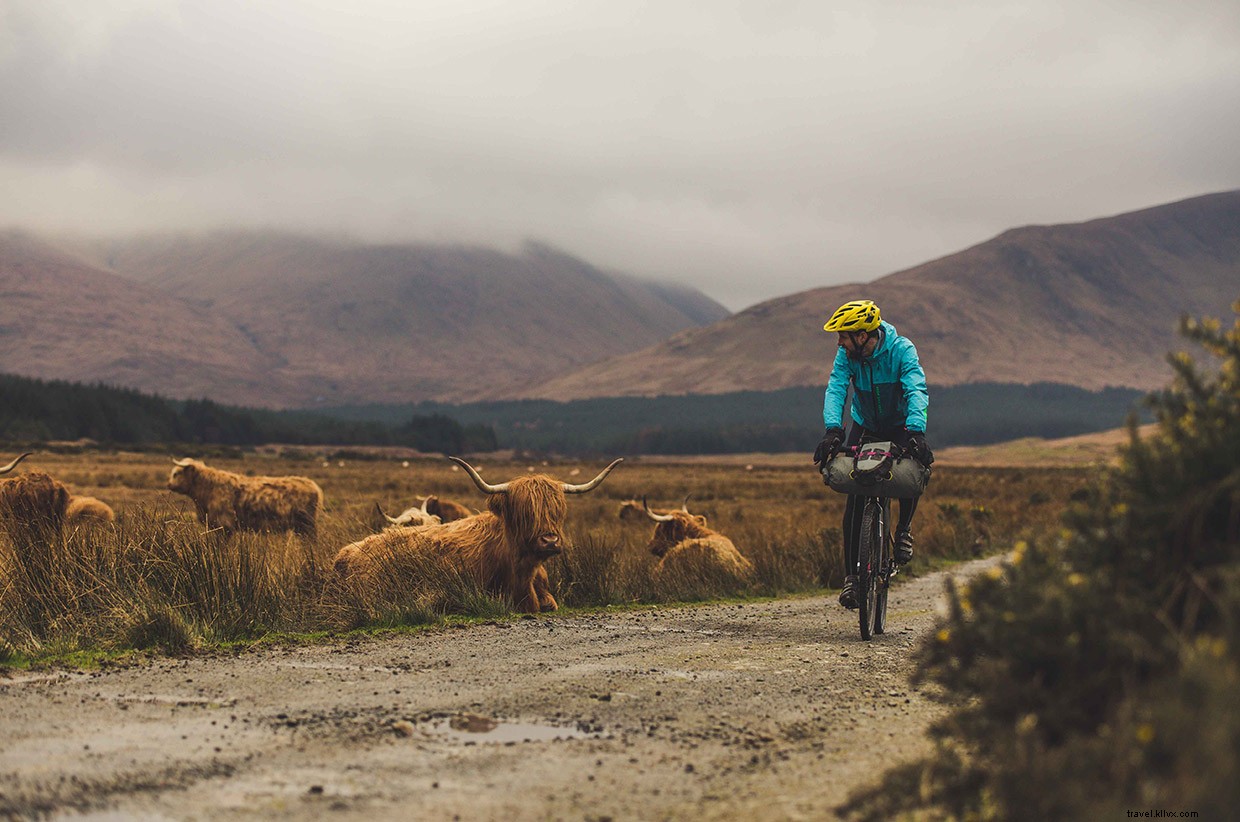 The Wild Isles: A Journey Through Stormy Scottish Highlands