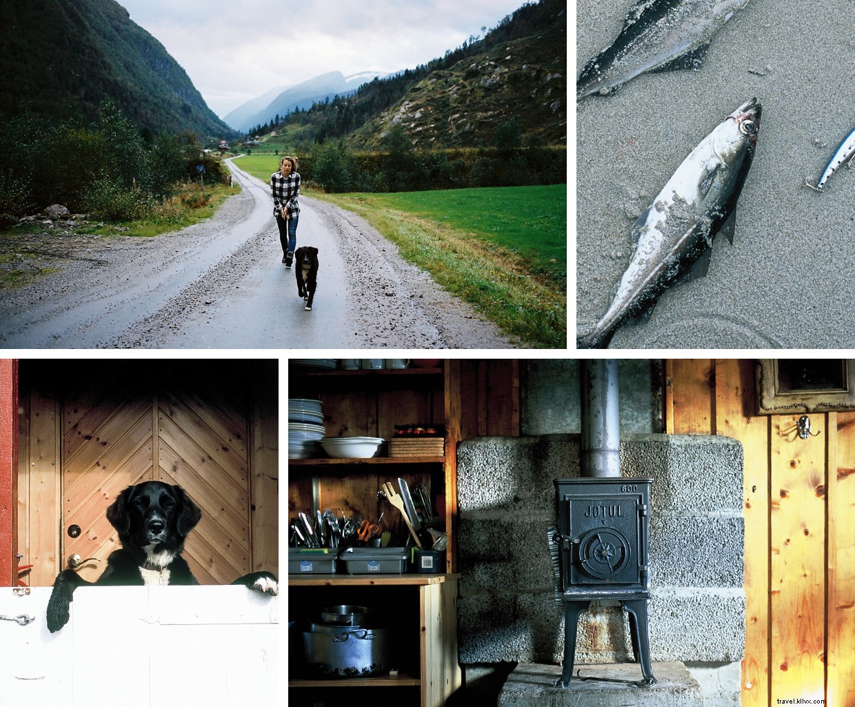 Exploring the Northern Fringes: A Nighttime Adventure