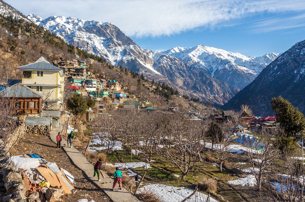 Surviving the Icy Wilderness: A Test of Human Resilience