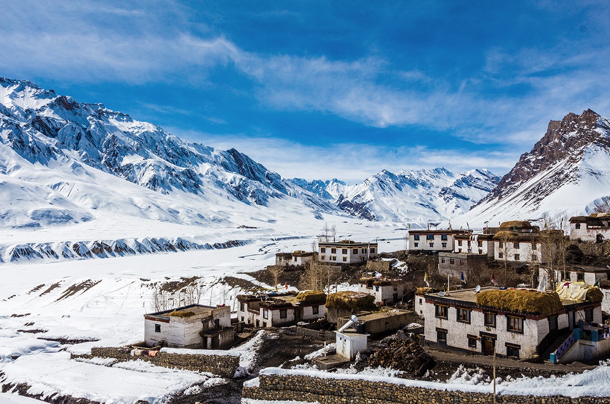 Surviving the Icy Wilderness: A Test of Human Resilience