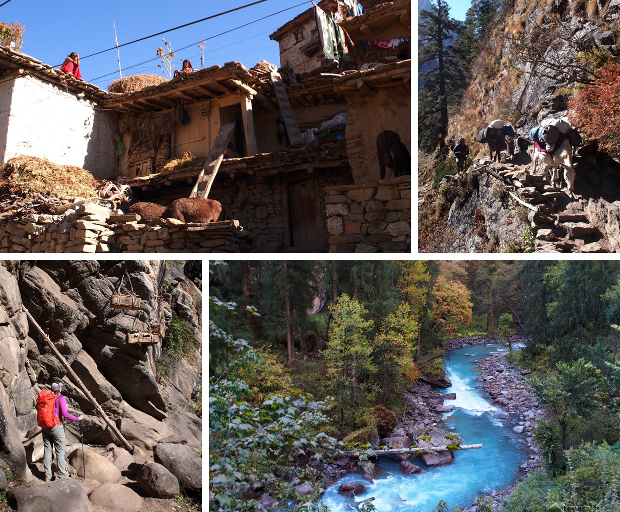 Summit Dreams: A Climber s Journey of Challenge and Romance