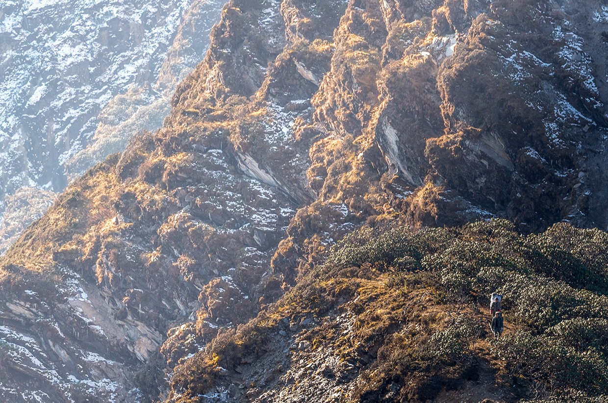 Exploring the Panda Trail: A Rain-Soaked Bamboo Adventure