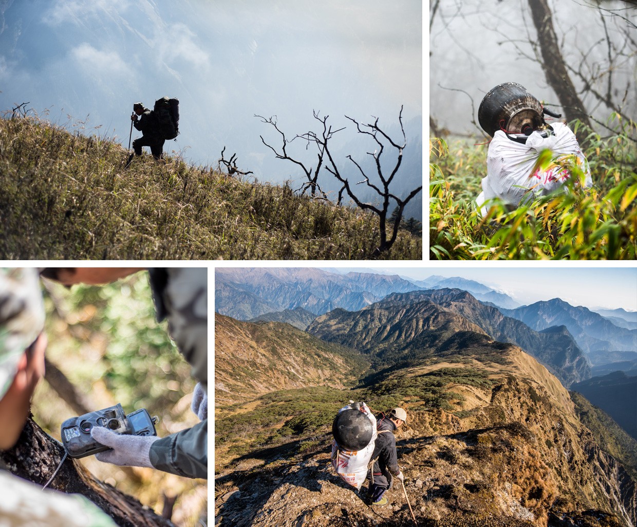 Exploring the Panda Trail: A Rain-Soaked Bamboo Adventure