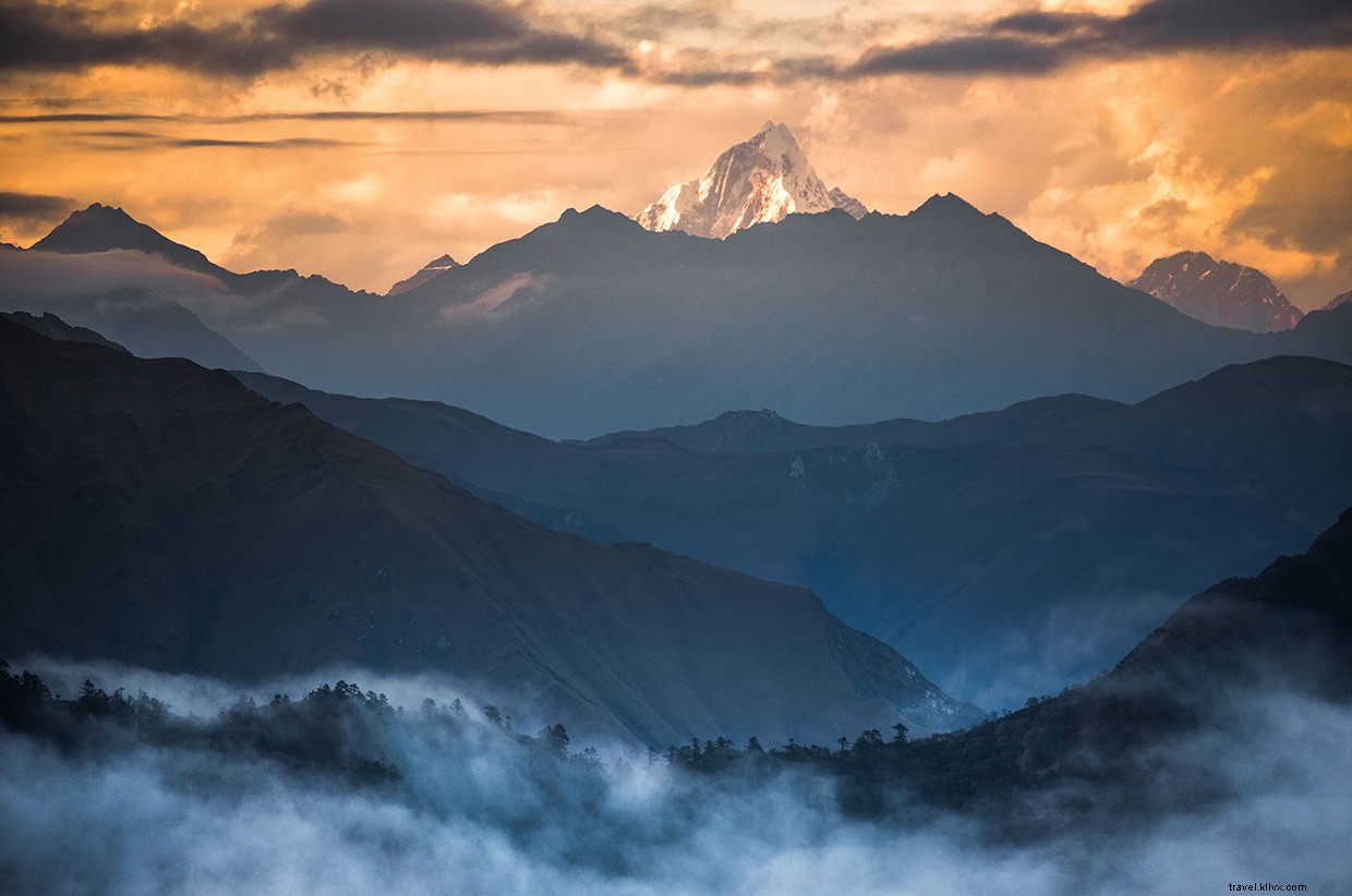 Exploring the Panda Trail: A Rain-Soaked Bamboo Adventure